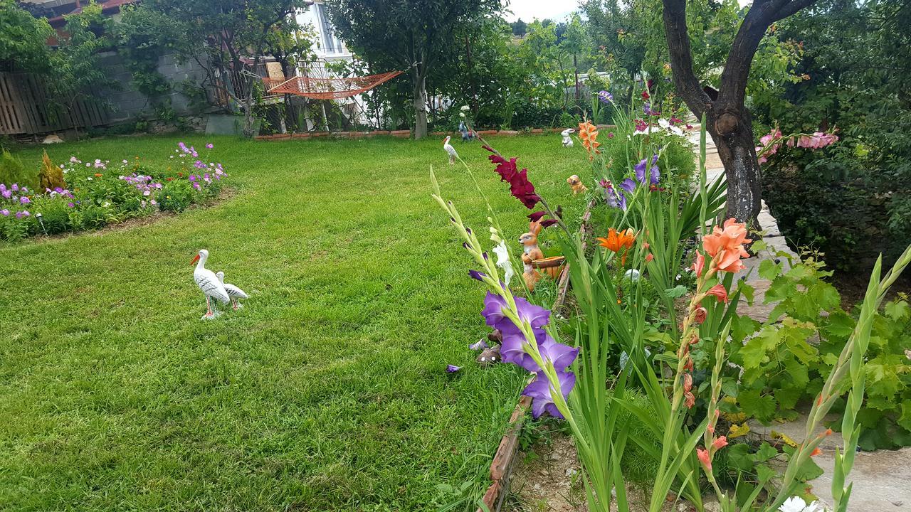 Guest House Agush Kribul Exterior photo